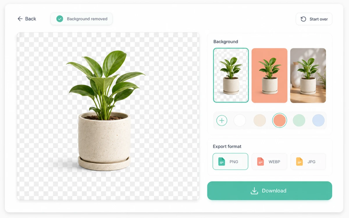 Background remover export step choosing transparent, color, and image backgrounds.