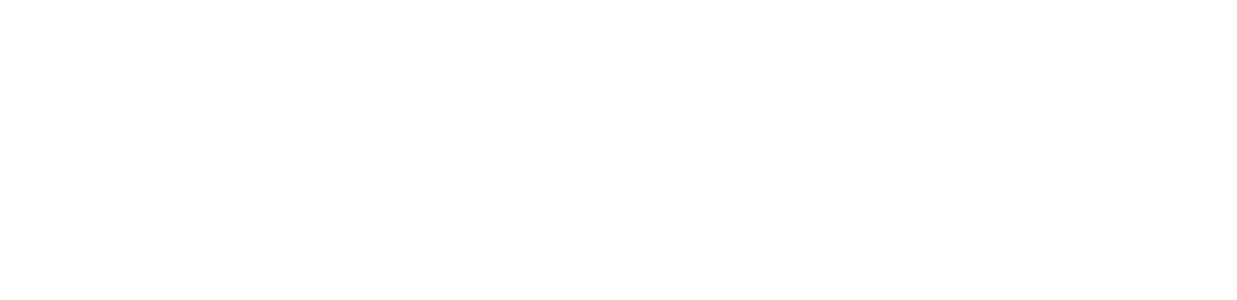 Black Forest Labs logo