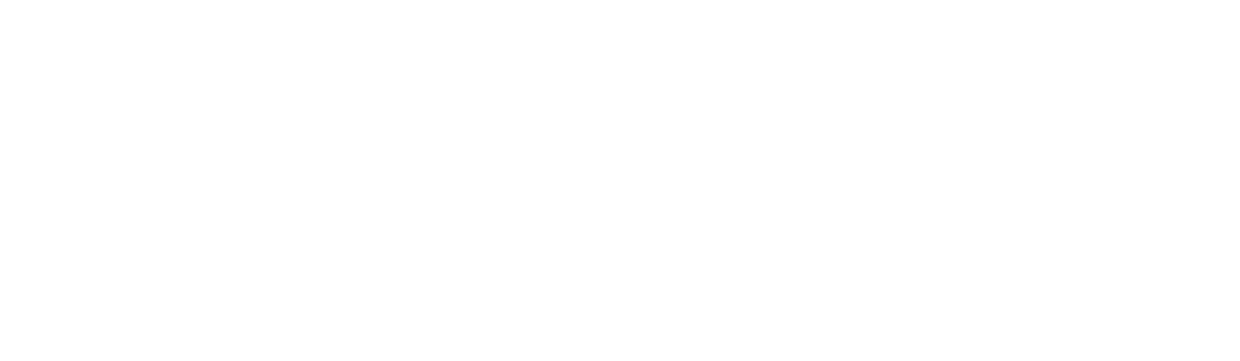 Wan logo