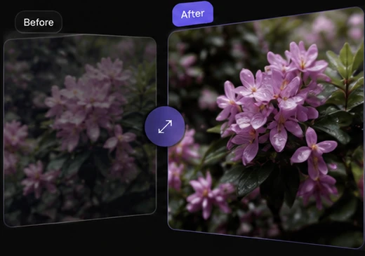 Try image upscaler to enlarge enhanced photos for larger exports and close crops.